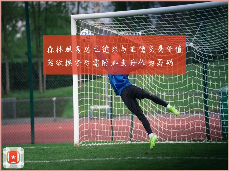 森林狼考虑兰德尔与里德交易价值若欲换字母需附加麦丹作为筹码
