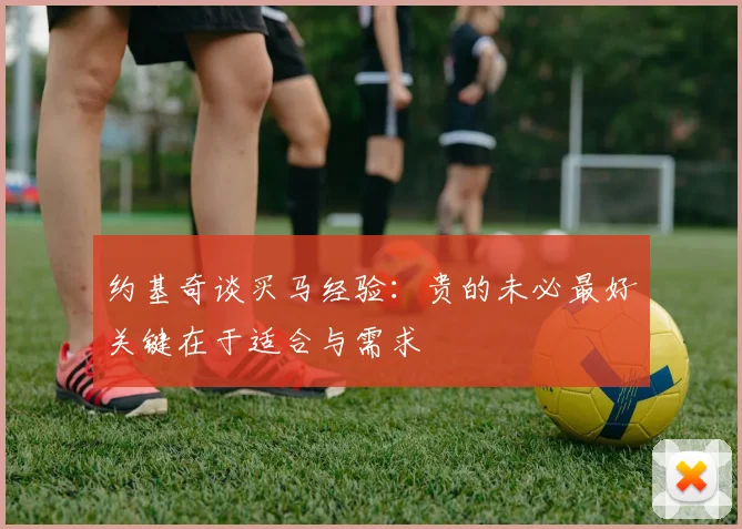 约基奇谈买马经验：贵的未必最好关键在于适合与需求