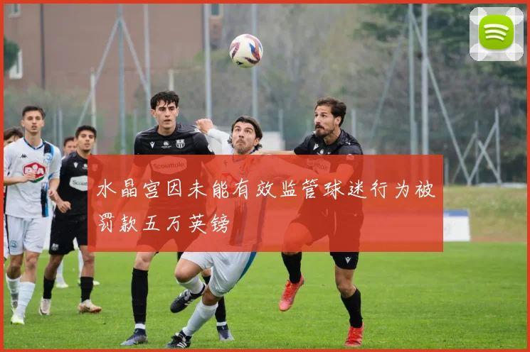 水晶宫因未能有效监管球迷行为被罚款五万英镑