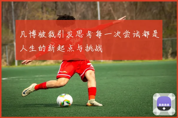 凡博被裁引发思考每一次尝试都是人生的新起点与挑战
