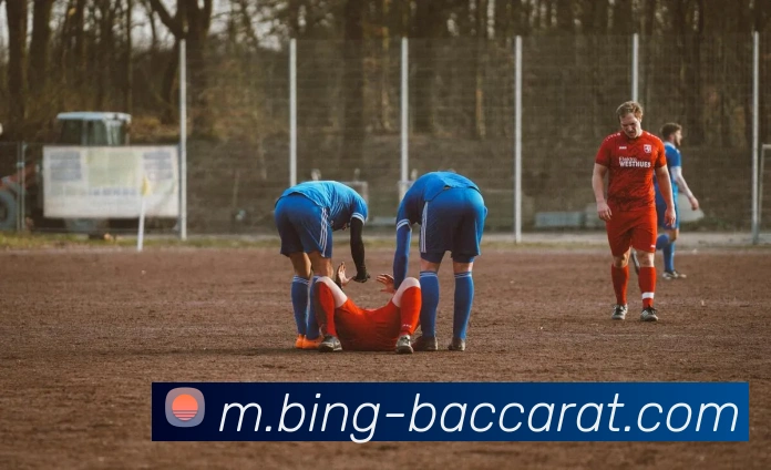 百家乐网站平台生态图